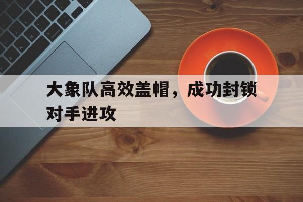 爱游戏中国-大象比赛