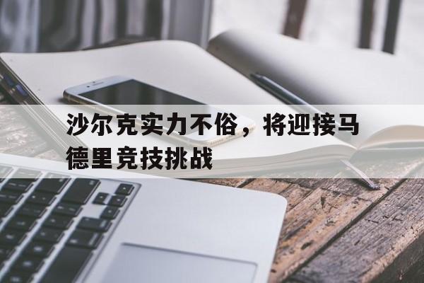 爱游戏娱乐-德甲 沙尔克